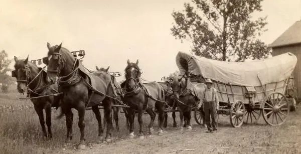A prairie schooner covered wagon pulled by a team of four horses standing in a field, period photograph